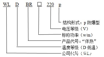WLDBR-20-220-p防爆型华体会体育网国米合作伙伴型号说明