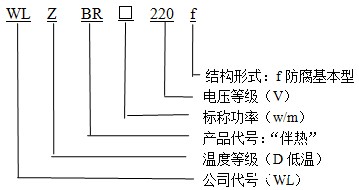 WLZBR-30-220-J防腐基本型(中温)华体会体育网国米合作伙伴型号说明