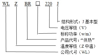 WLZBR-20-220-J基本型(中温)华体会体育网国米合作伙伴型号说明