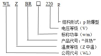 WLZBR-20-220-p防爆型(中温)华体会体育网国米合作伙伴型号说明