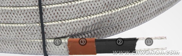 WLZBR-20-220-p防爆型(中温)华体会体育网国米合作伙伴结构图