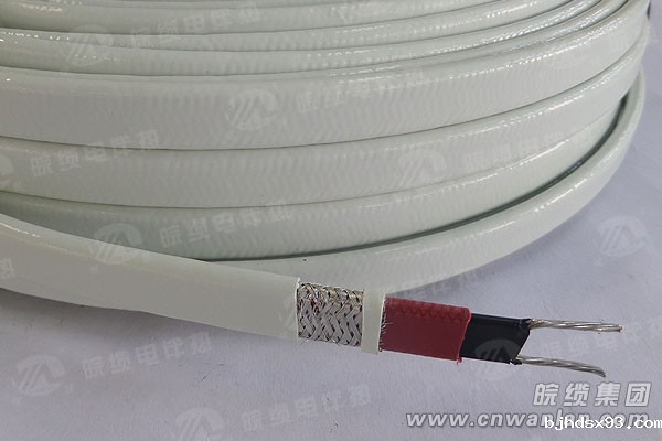 进口变功率电伴热带