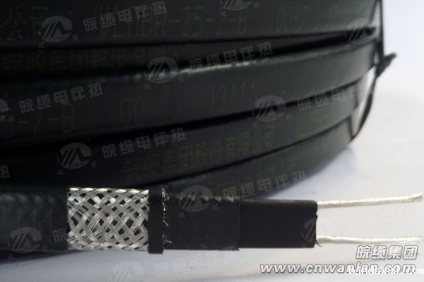 防爆、防护、防腐型DBW-220V华体会体育网国米合作伙伴