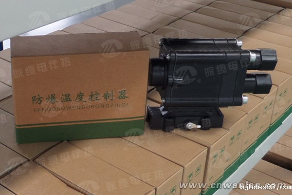 防爆温度控制器