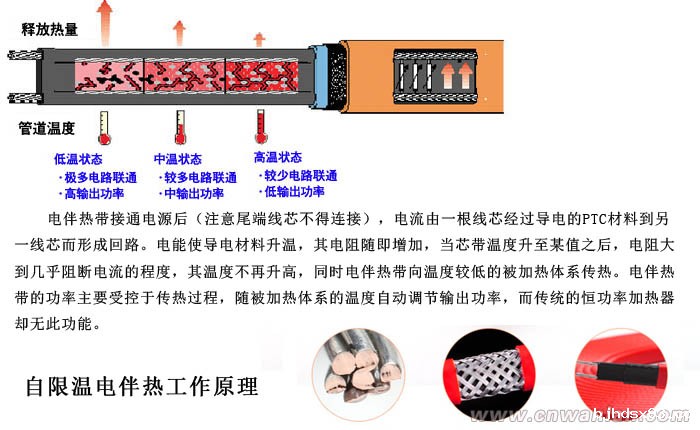 自限温电伴热原理图