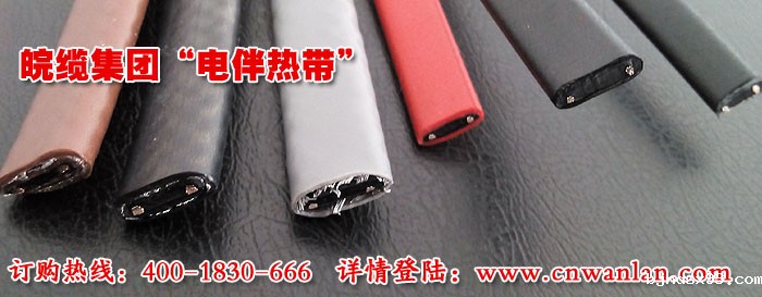 电伴热固定方式